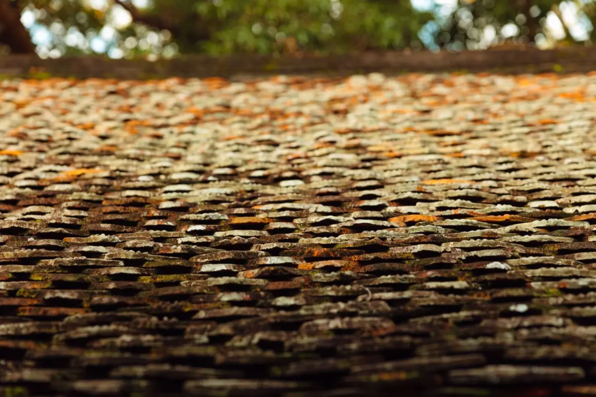Aging shingle roof with moss growth and granule loss in Tampa, FL